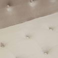 Azalea Sofa - 2 Seater - Mink Velvet Fabric with Gold Metal