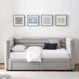 Byrne Daybed - 2 Drawer - Grey Velvet - Fabric