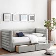 Byrne Daybed - 2 Drawer - Grey Velvet - Fabric