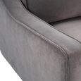 Daffy Armchair - Stone Grey Velvet - Fabric