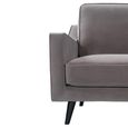 Daffy Armchair - Stone Grey Velvet - Fabric