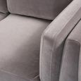Mickey Sofa - 2 Seater - Stone Grey Velvet and Walnut - Fabric and Wood