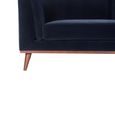 Mickey Sofa - 3 Seater - Midnight Blue Velvet and Walnut - Fabric and Wood