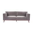 Mickey Sofa - 3 Seater - Stone Grey Velvet and Walnut - Fabric and Wood