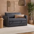 Eli Small Pull-Out Sofa Bed - 2 Seater - Grey Fabric