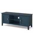 Harrogate TV Unit - 2 Door - Blue