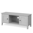 Stowe TV Unit - 2 Door - Grey