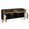 TV Unit - 2 Door - 122cm - Medium - Natural Rattan and Black Metal
