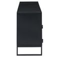 TV Unit - 2 Door - 122cm - Medium - Natural Rattan and Black Metal