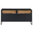 TV Unit - 2 Door - 122cm - Medium - Natural Rattan and Black Metal