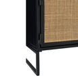 TV Unit - 2 Door - 122cm - Medium - Natural Rattan and Black Metal