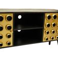 Arti TV Unit - 2 Door - Black - Mango Wood