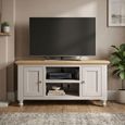 Chateau Standard TV Unit - 2 Door - Grey Painted - Pine