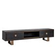 Hunter Black Oak Extra Large TV Unit with Gold Trim
