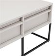 Albion Small TV Unit - 2 Drawer - Stone Grey and Black