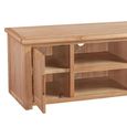 Clearance - Moderna TV Unit - 2 Door - Oak - FSS17392