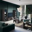 Heritage TV Unit - 2 Drawer - Large - Glass Top - Dark Velvet Birch High Gloss