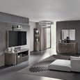 Armonia Italian Large TV Unit - 2 Door 1 Drawer - with LED Wall Panel - Silver Birch