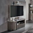 Armonia Italian Large TV Unit - 2 Door 1 Drawer - with LED Wall Panel - Silver Birch