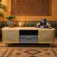 Wood and Metal Storage 2 Door 1 Drawer TV Unit thumbnail