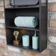 Industrial Wall Unit - with Mirror - Tall - Black - Metal