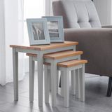 Painted Nest of Tables