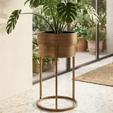 Pots, Plants & Planters