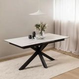 White Rectangular Dining Tables