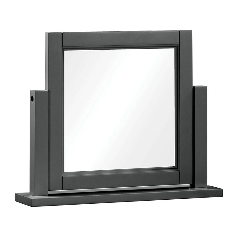 Wilmont Dressing Mirror - Black Painted