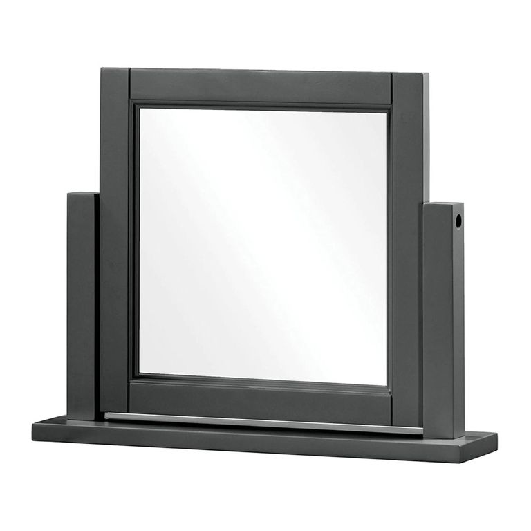 Wilmont Dressing Mirror - Black Painted
