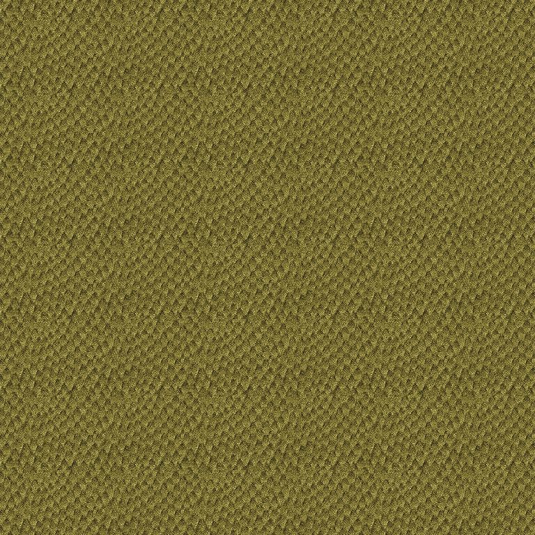 Mina Roman Blind - Zest