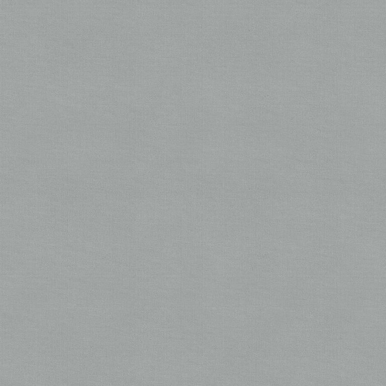 Renard Roller Blind - Light Grey