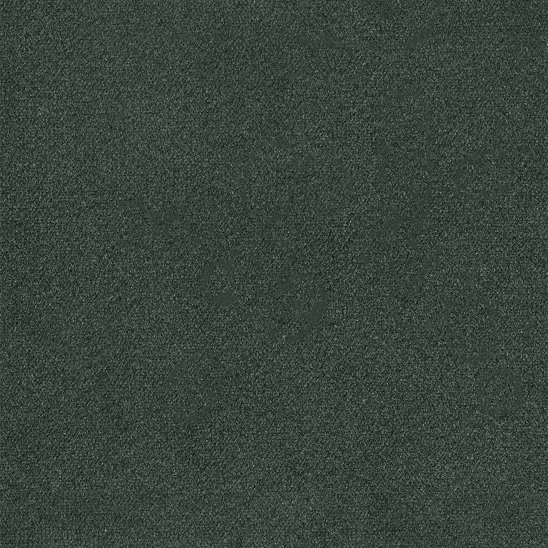 Rudiger Roman Blind - Forest