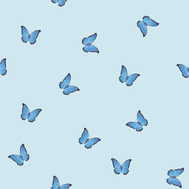Clearance - Skinny Dip Curtain - Butterfly Blue - FSS14526