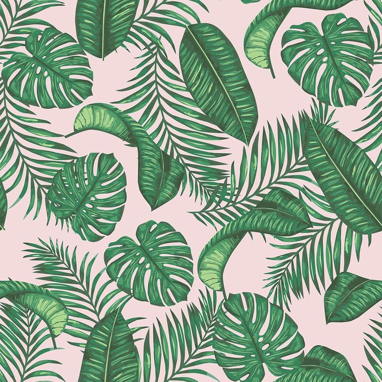 Skinny Dip Curtain - Dominica Pink