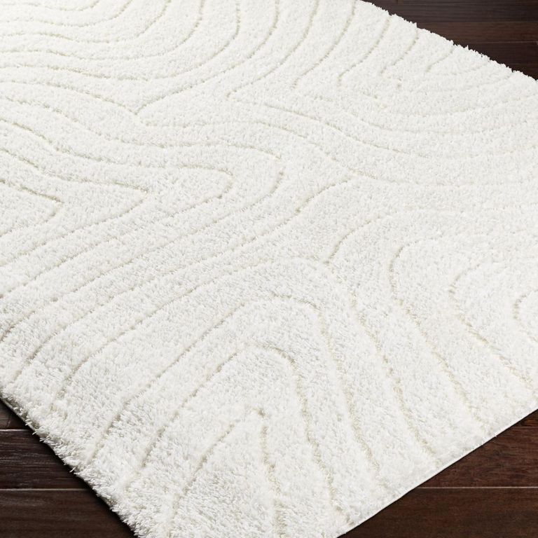 Nomadic Rug - Shaggy Modern Plush Pile - Beige - Sizes Available