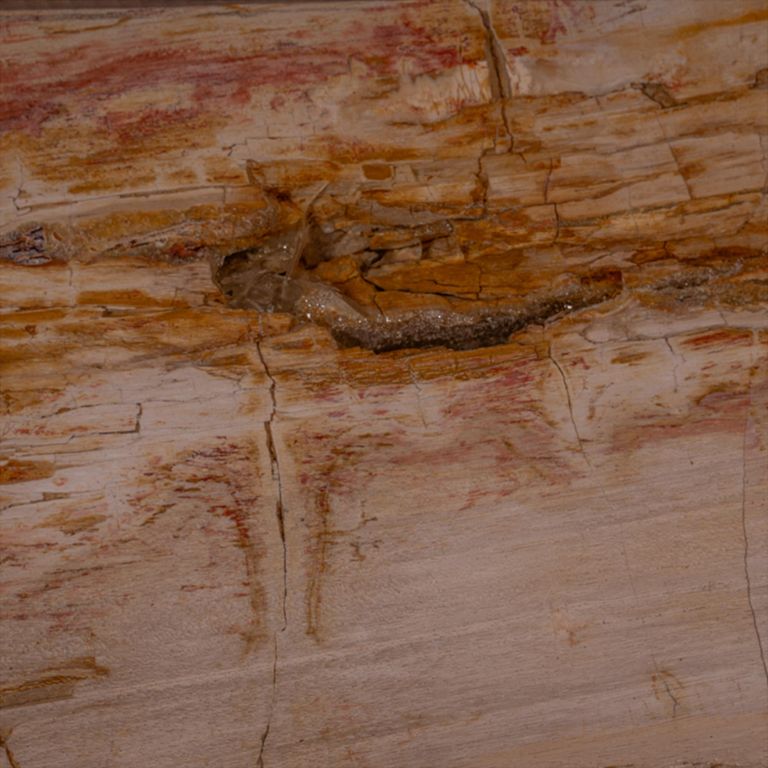 Coffee Table - Rustic Brown - Petrified Wood