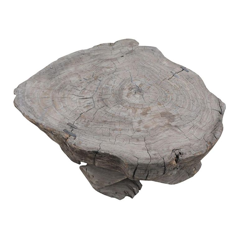 Hand Carved Coffee Table - Abstract - Turtle Base - Natural - Elm Wood