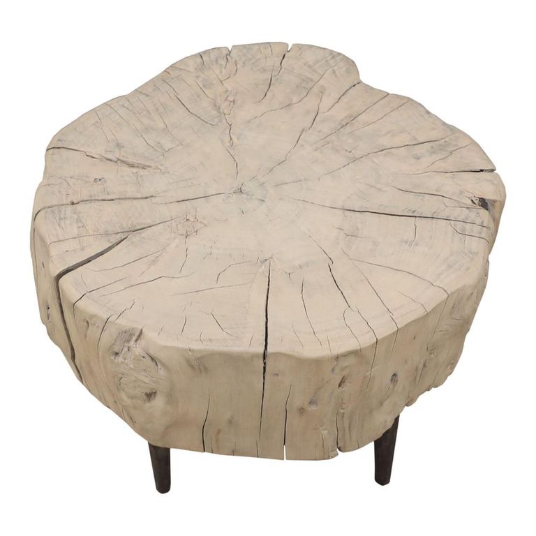 Tree Stump Coffee Table - Live Edge - Tapered Leg - Rustic Natural - Elm Wood