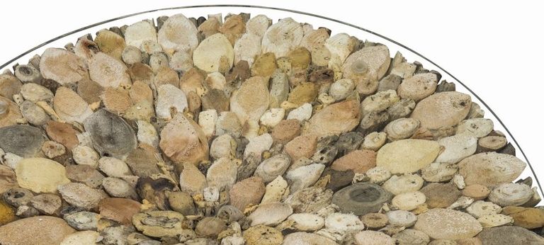 Driftwood Coffee Table - Round - Glass Top