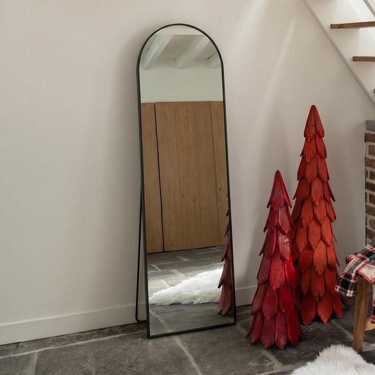 Curved Cheval Mirror - Black - Glass and Metal - 50cm x 150cm