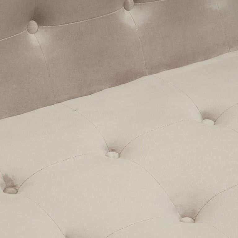 Azalea Sofa - 2 Seater - Mink Velvet Fabric with Gold Metal