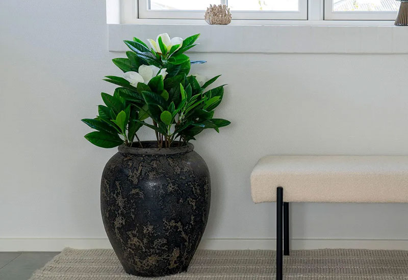 House Nordic Vases furniture collection