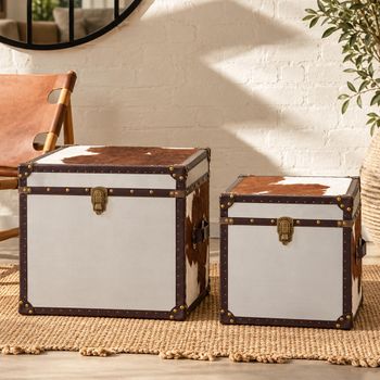 Set of 2 Kensington Townhouse Brown and White Leather Storage Trunk