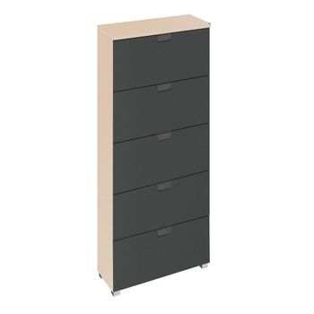Aditio Champagne and Metallic Dark Grey 5 Drawer Tall Chest
