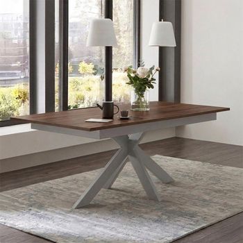 Boston Oiled Walnut Extending Dining Table with Stainless Steel Spider Legs - Sizes Available