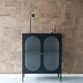 Adelaide Black Metal 2 Door Small Cabinet