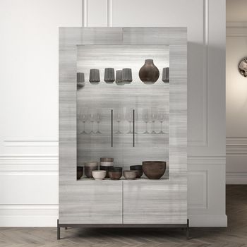 Mia Grey 2 Door Display Cabinet