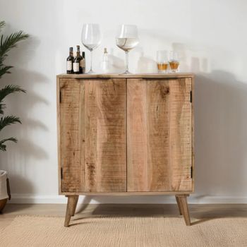 Surrey Drinks 2 Door Cabinet Solid Mango Wood Compact