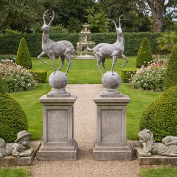 Rustic Grey Pair of Stags Resin Decor
